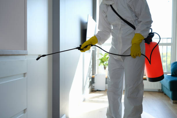 Best Home Mold Removal  in Hawaiian Beaches, HI