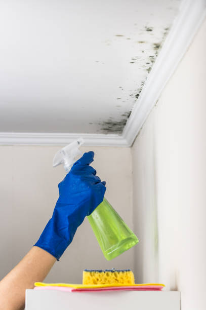 Best Crawl Space Mold Removal  in Hawaiian Beaches, HI